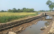 Mặn xâm nhập sâu ở Đà Nẵng, phải bơm lách mặn cứu lúa