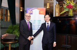 Việt Nam - Vương quốc Anh đẩy mạnh hợp tác y tế dự phòng