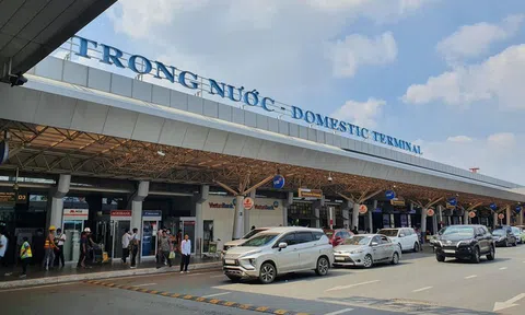 Lãnh đạo Cảng hàng không Tân Sơn Nhất: Chúng tôi không thể làm gì khác