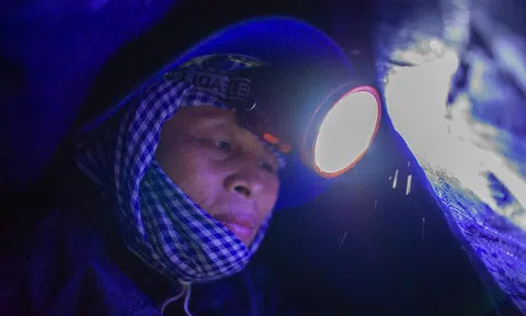 Cảnh đời người miền Tây mùa nước nổi