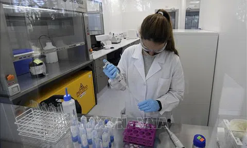 Hy vọng mới cho những người dễ bị tổn thương nhất bởi COVID-19