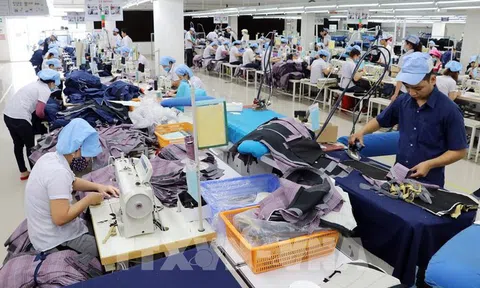 Xuất khẩu dệt may vào EAEU sắp vượt ngưỡng quy định