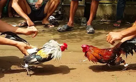 21 người bị cảnh sát vây bắt tại sới bạc