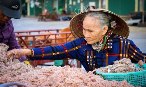 Ngư dân Hà Tĩnh trúng đậm mùa ruốc