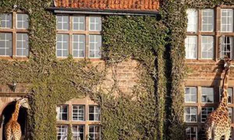 Những khách sạn đẹp và "dị" nhất thế giới