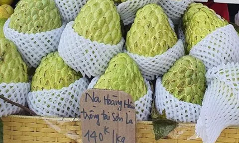 Bí tí hon có giá hàng trăm nghìn đồng/kg hút khách Hà thành
