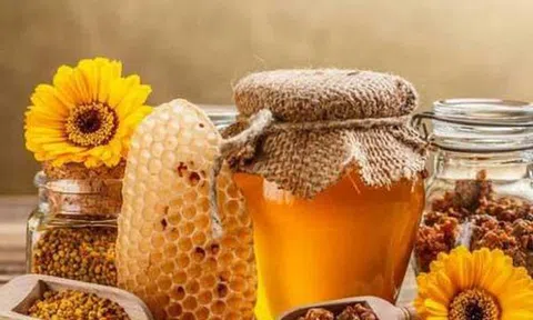 Những lợi ích tuyệt vời của mật ong đối với sức khỏe con người