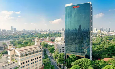 GELEX sắp tạm ứng cổ tức 8% bằng tiền mặt, niêm yết Hạ tầng GELEX trong quý 4/2025