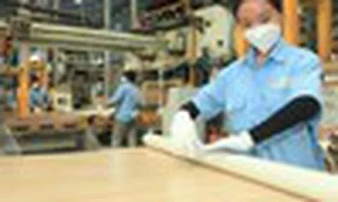 Cổ phiếu cần quan tâm ngày 22/9