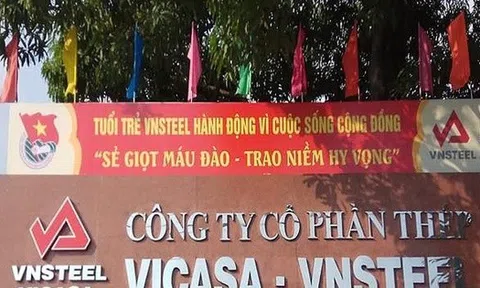 Thép Vicasa - VNSteel đón cổ đông lớn mới