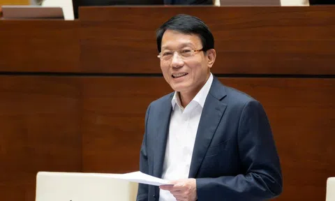 Thông tin lý lịch tư pháp trên VNeID có giá trị như phiếu lý lịch tư pháp