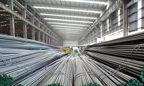 Sau cái bắt tay với VinMetal, Pomina chuẩn bị họp tái cấu trúc