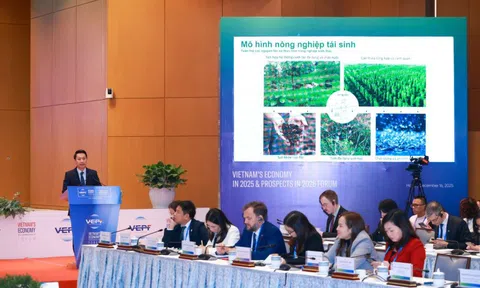 Kinh tế tuần hoàn là động lực chuyển đổi xanh