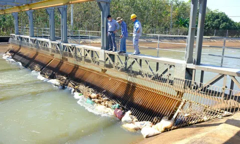 Xác động vật trên kênh dẫn nước về hồ Dầu Tiếng: Nguy cơ ô nhiễm nguồn nước rất cao?