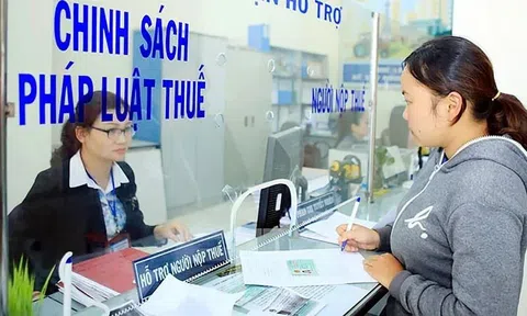 Doanh nghiệp, hộ kinh doanh không phải khai, nộp phí môn bài từ 2026