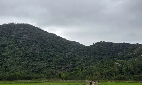 Thông tin về vụ rơi máy bay YAK-130 của Trường Sĩ quan Không quân