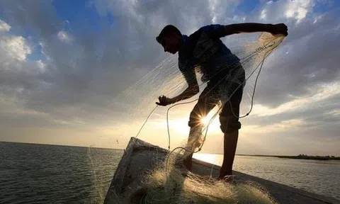 Chuyên gia chứng khoán: Dòng tiền vẫn luân chuyển tích cực, không thiếu cơ hội tìm kiếm lợi nhuận cho nhà đầu tư