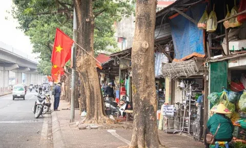 Xóa 98 'điểm nóng' chợ cóc, xử phạt qua camera