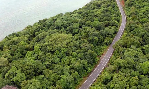 Thanh tra việc chuyển mục đích sử dụng rừng làm Nhà máy xử lý rác Côn Đảo