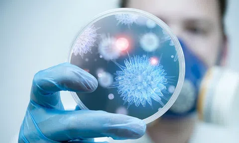 Bộ Y tế khuyến cáo người dân hạn chế đến khu vực có dịch bệnh do virus Nipah