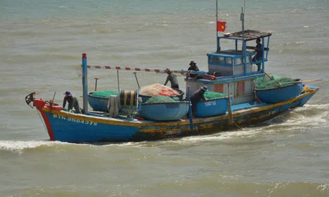 Dự án nạo vét cửa biển La Gi chậm trễ, ghe cá thấp thỏm ra vào