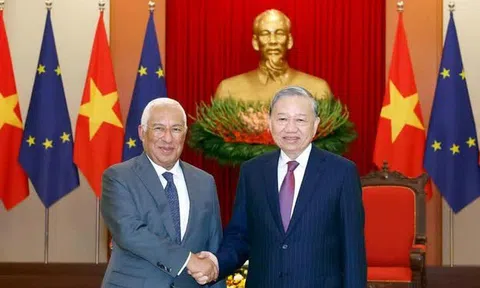 Đối tác trụ cột