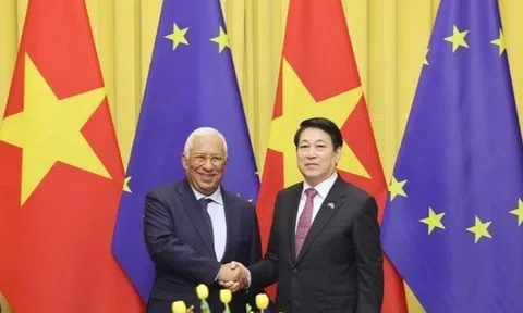 Nâng cấp quan hệ Việt Nam-EU lên Đối tác Chiến lược Toàn diện