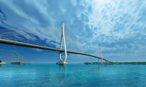 CC1 báo doanh thu hơn 11.600 tỷ đồng năm 2025, tăng 21% so với năm trước