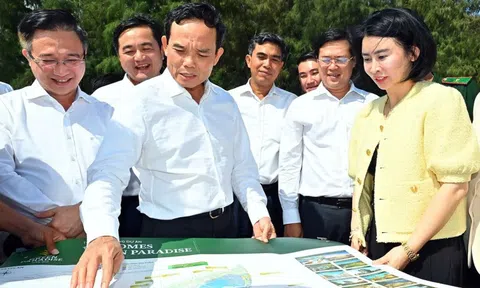 Cần Giờ - Khi khát vọng làm đảo chiều khái niệm