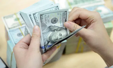 Tỷ giá USD hôm nay 31.1: USD trong nước đi ngang, thế giới chịu áp lực giảm