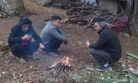 Thời tiết ngày 1/2: Miền Bắc rét, vùng núi rét đậm, Trung Bộ mưa dông