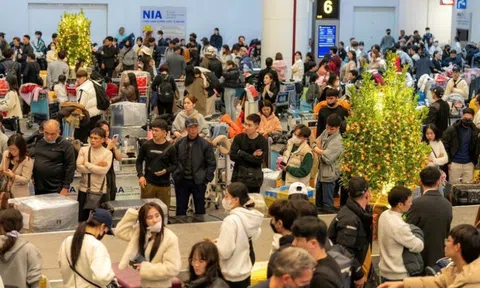 Nhiều đường bay đi, đến TP.HCM đã kín chỗ dịp Tết