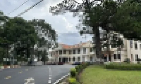 Làm rõ trách nhiệm 2 Bí thư xã ở Lâm Đồng để lộ thông tin người tố cáo