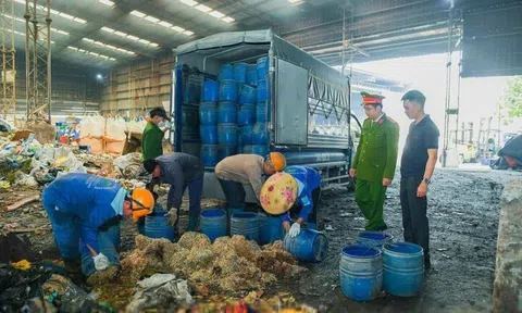 Hải Phòng tiêu hủy hơn 5 tấn giá đỗ ngâm hóa chất, để 1 tháng vẫn tươi