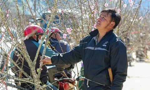 Dự báo thời tiết ngày 2/2: TP.HCM nắng ấm, Hà Nội trời rét