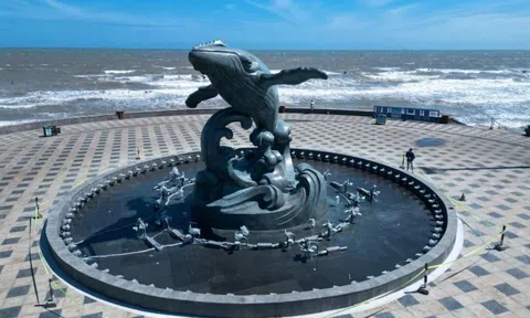 Cận cảnh tượng cá Ông hơn 50 tỷ đồng tại TP.HCM