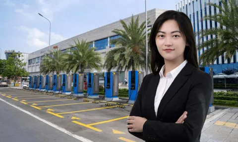 Công ty của tỷ phú Phạm Nhật Vượng thay Chủ tịch