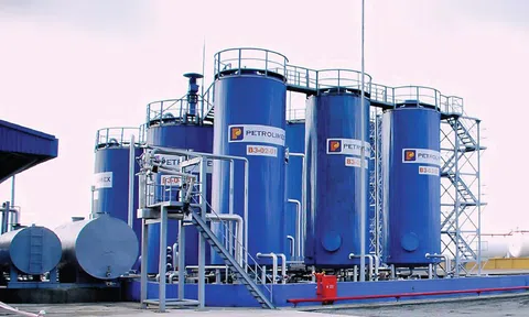 PLC "hụt hơi" quý IV, lợi nhuận cả năm 2025 vỏn vẹn hơn 13 tỷ đồng