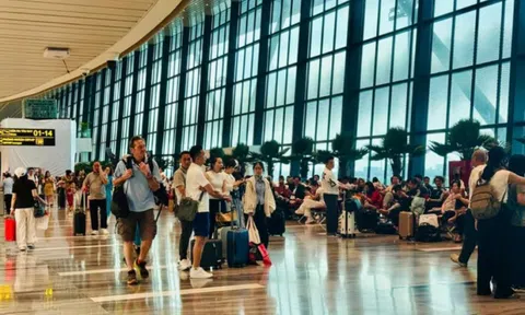 Sân bay Tân Sơn Nhất và Nội Bài đón lượng khách tăng vọt dịp Tết Bính Ngọ 2026