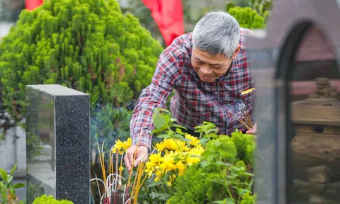 Trước Tết về với cội rễ