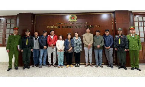 Triệt phá hai đường dây thuốc, thực phẩm chức năng giả thu lợi hơn 50 tỷ đồng