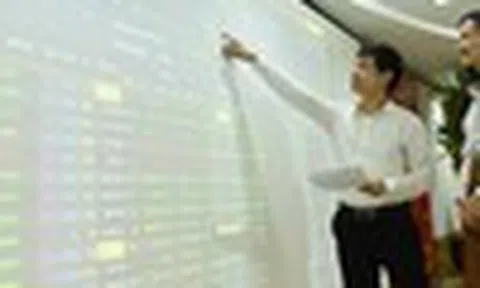 Chuyên gia tư vấn chiến lược đầu tư trong tuần cận Tết