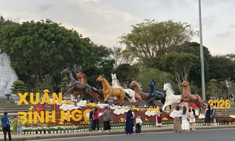 Năm ngựa tản mạn ngựa