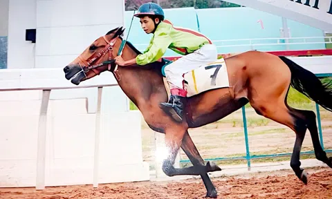 Những người vương vấn nghề nuôi ngựa đua Đức Hòa: Đời nài ngựa sau thời vang bóng