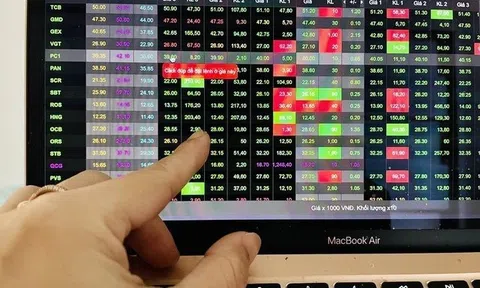 Lịch sự kiện và tin vắn chứng khoán ngày 12/2/2026