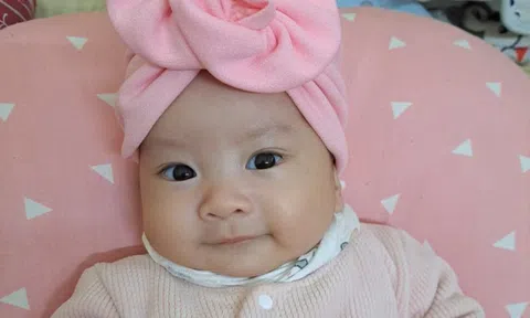 Mùa xuân đầu tiên trọn vẹn của cặp vợ chồng gần một thập kỷ mong con