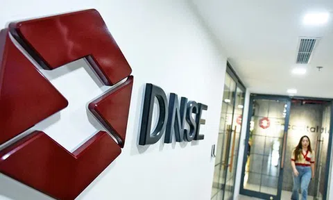 Cổ đông lớn đăng ký chuyển nhượng quyền mua DSE