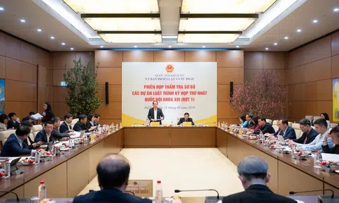 Phiên họp thẩm tra sơ bộ các dự án luật trình Kỳ họp thứ Nhất, Quốc hội khóa XVI