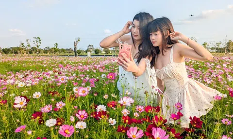 Thích thú với vườn hoa sao nhái 2,5ha, nhiều người nhắc nhau giữ gìn cảnh quan