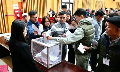 Đấu giá đất xã Tây Phương (Hà Nội) đạt kỷ lục hơn 164 triệu đồng/m²